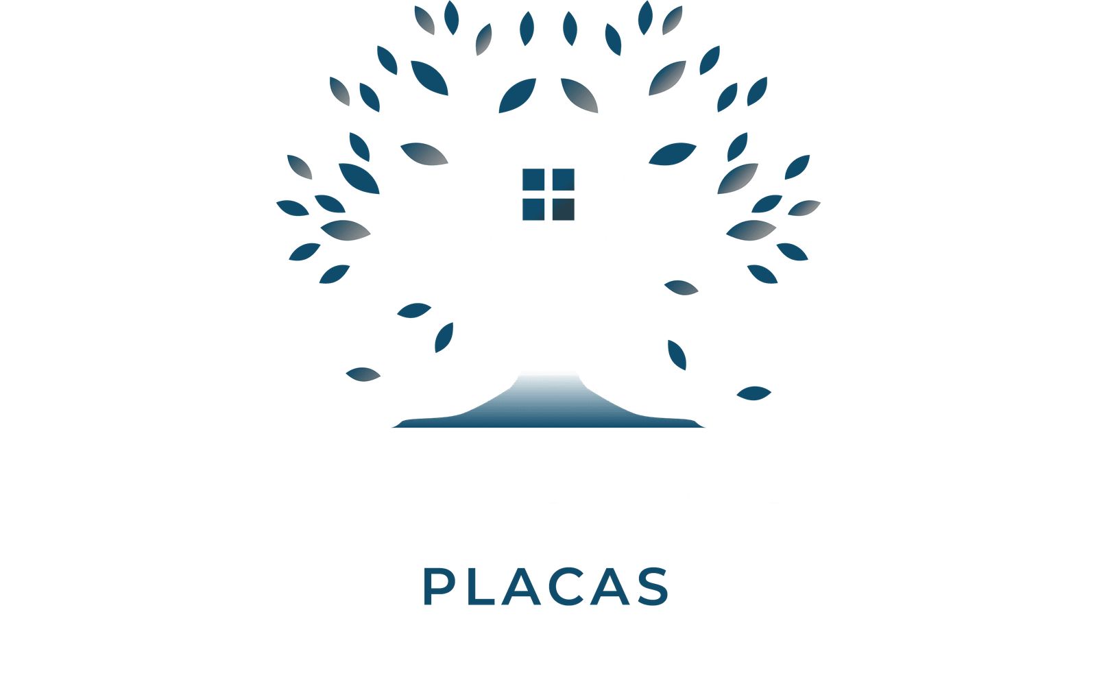 pvplacas.com