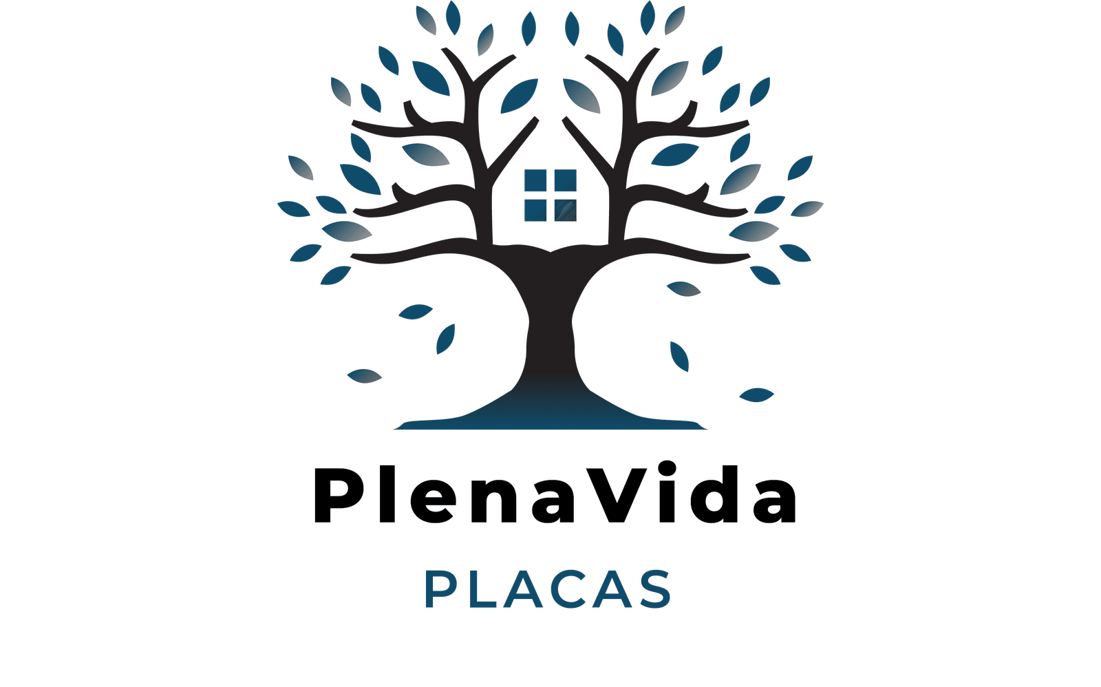 pvplacas.com